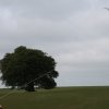 Open Weekend 2012