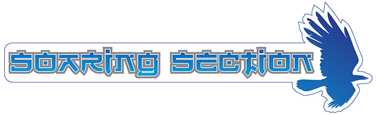 Soaring Section logo