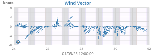 Wind Vector