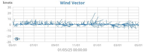 Wind Vector