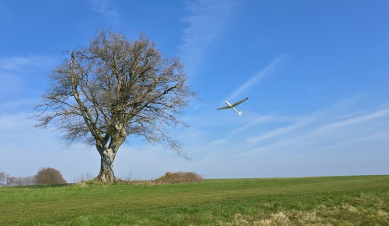Launching past the Beech Tree (Amanda Jordy)
