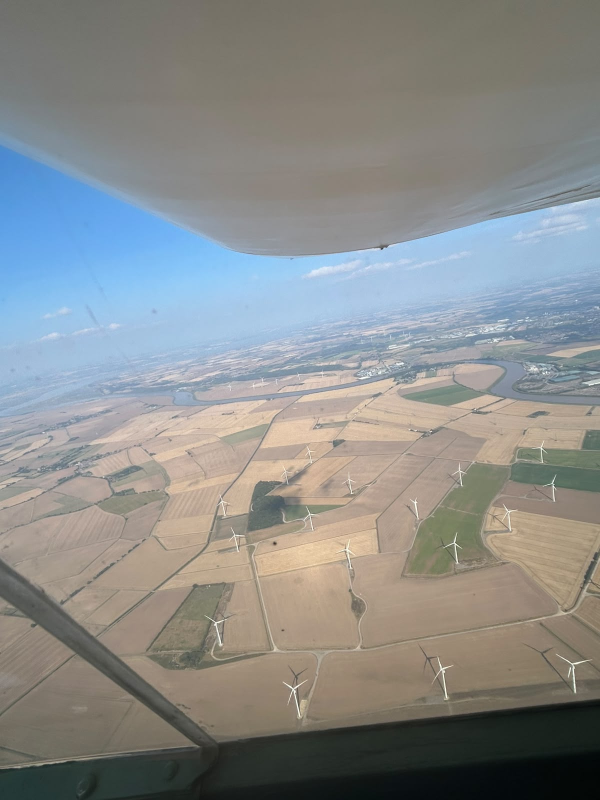 Eagle inspects wind farm (Kai Mudd)