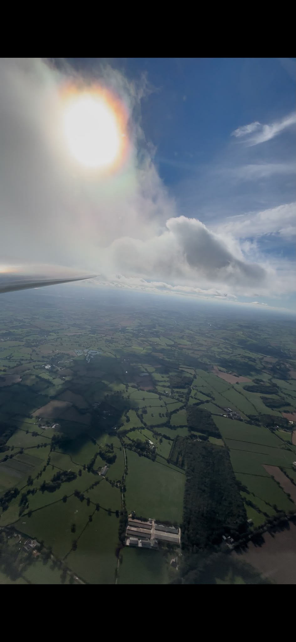 Enjoying a soaring flight (Adam Smyth)